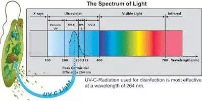 Curve-of-germicidal-efficiency-of-UV-radiation-on-pathogens-depending-on-wavelength-nm